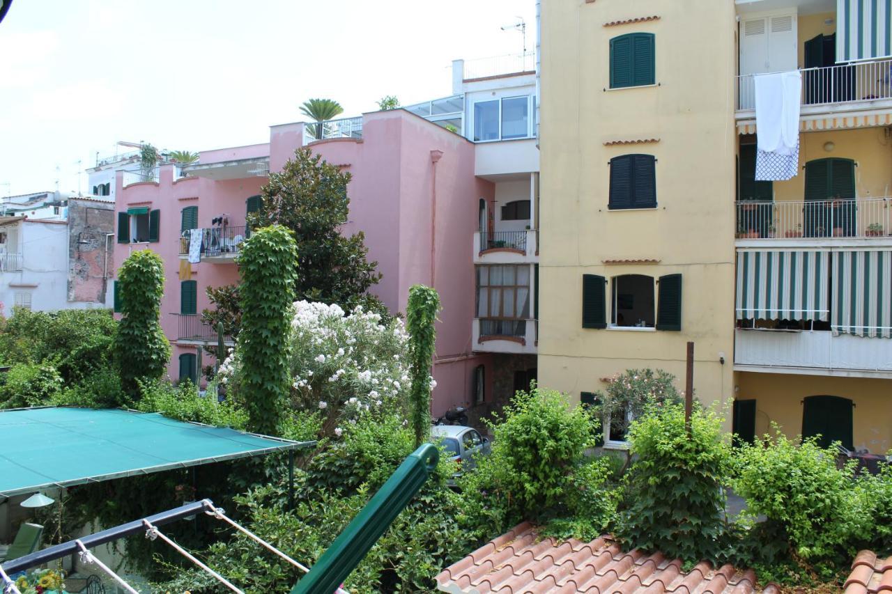 Apartment La Casa Ridente : Porto Ischia